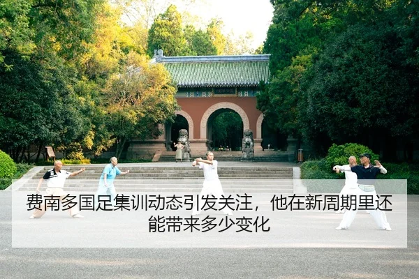 费南多国足集训动态引发关注，他在新周期里还能带来多少变化（kaiyun）